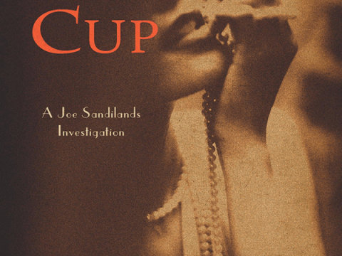 A Spider in the Cup by Barbara Cleverly