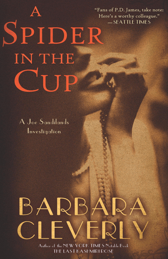 A Spider in the Cup by Barbara Cleverly