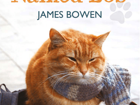 A Street Cat Named Bob by James Bowen