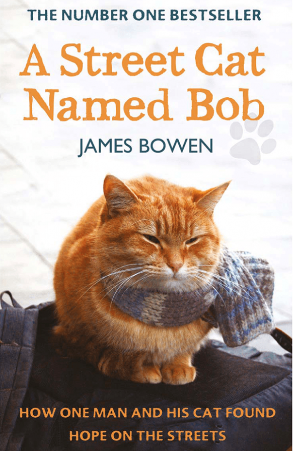 A Street Cat Named Bob by James Bowen