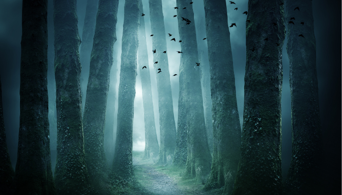Virtual Talk: The History of the Mystery