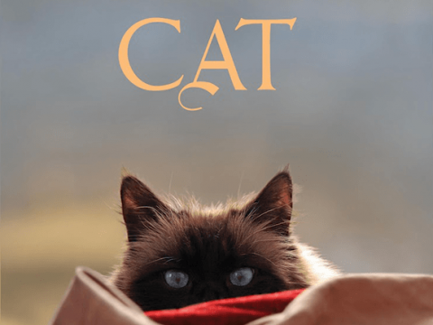 The Dalai Lama’s Cat by David Michie