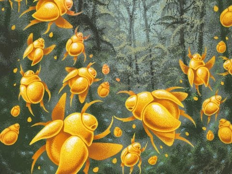 Miss Benson’s Beetle by Rachel Joyce