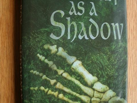 Suddenly as a Shadow by Roy Lewis