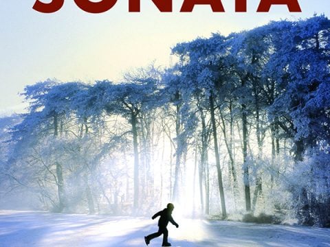 The Gustav Sonata by Rose Tremain