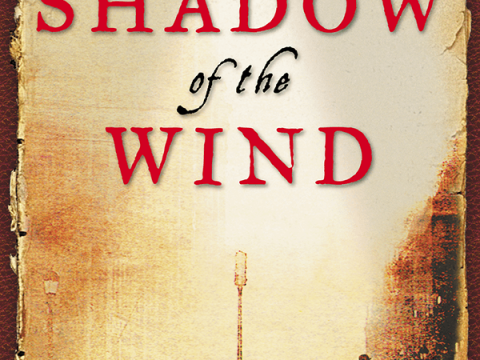 The Shadow of the Wind by Carlos Ruiz Zafon