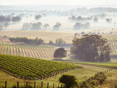 AGM & The Convict Valley (COSHA)