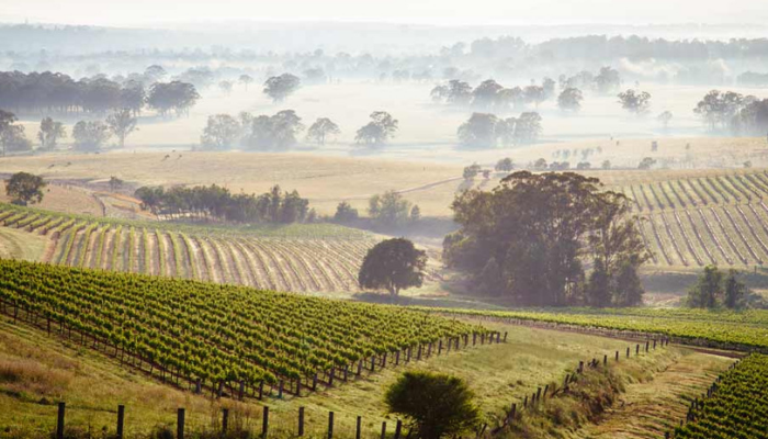 AGM & The Convict Valley (COSHA)