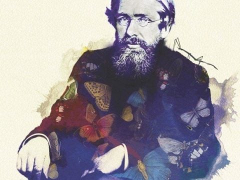 The Evolutionist: The Strange Tale of Alfred Russel Wallace By Avi Sirlin