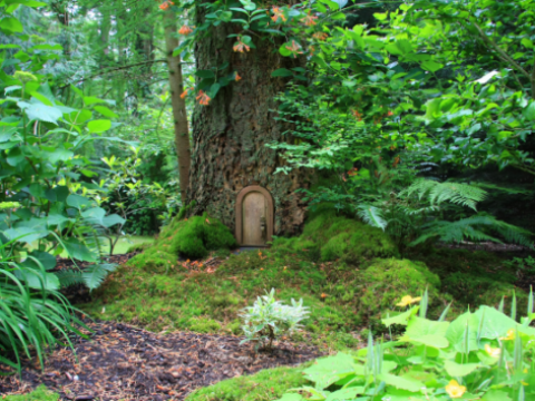 Virtual Event: The History of Fairy Tales in Australia with Jo Henwood