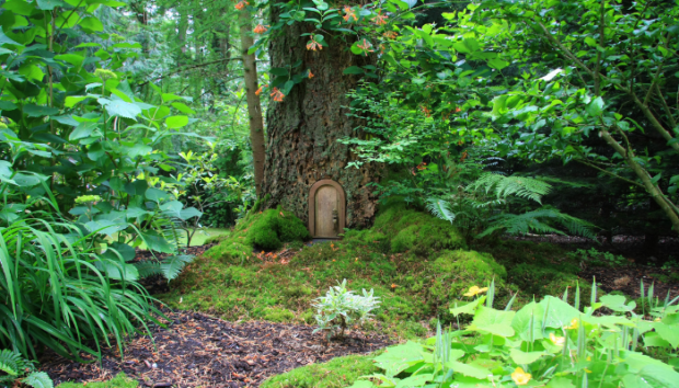 Virtual Event: The History of Fairy Tales in Australia with Jo Henwood