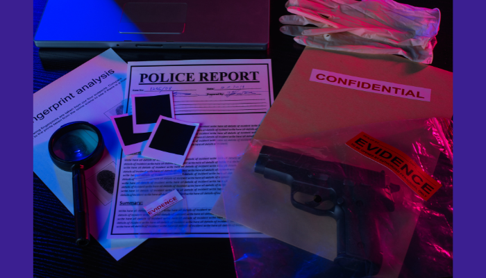 The Psychology of Crime Investigations