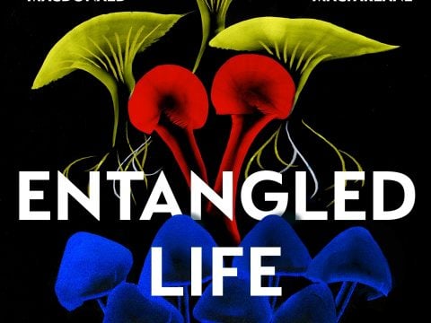 Entangled Life: How Fungi Make Our Worlds, Change Our Minds & Shape Our Futures by Merlin Sheldrake