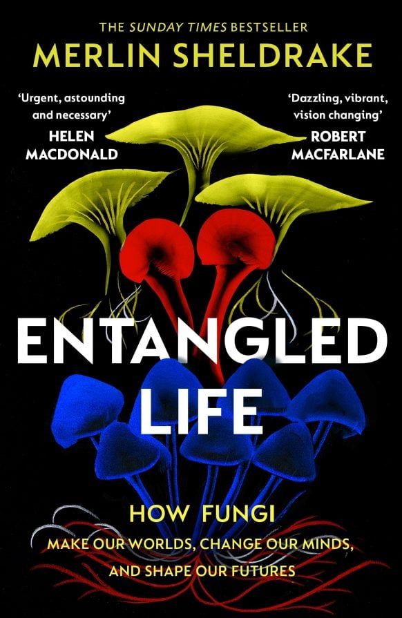 Entangled Life: How Fungi Make Our Worlds, Change Our Minds & Shape Our Futures by Merlin Sheldrake