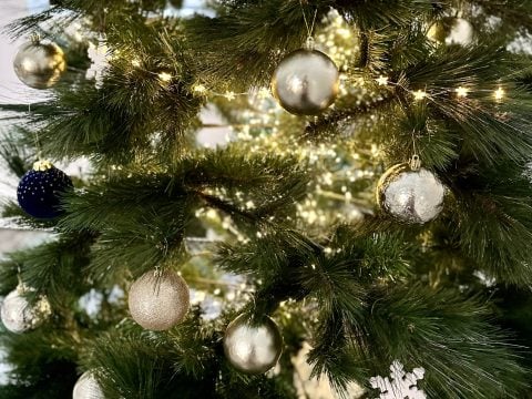 President’s Christmas Message to Members 2024