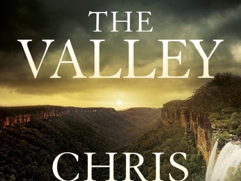 The Valley (Detective Nell Buchanan #4) by Chris Hammer