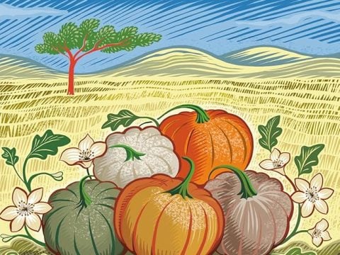 In the Time of Five Pumpkins (No. 1 Ladies’ Detective Agency #26) by Alexander McCall Smith